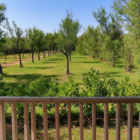 Κάμπινγκ Happy Camp Mobile Homes In *